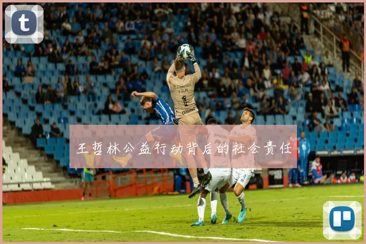 王哲林公益行动背后的社会责任