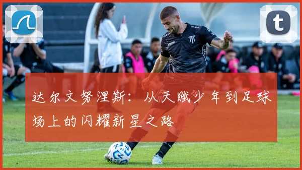 达尔文努涅斯：从天赋少年到足球场上的闪耀新星之路
