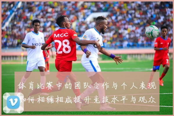 体育比赛中的团队合作与个人表现如何相辅相成提升竞技水平与观众体验